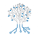 Netzer Consulting S.L. logo