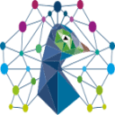 Peacock Insights B.V. logo