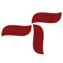 TeleNoc (Helcon IT) logo