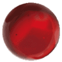 TurnKey Services AG logo